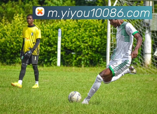 易游体育服务体系